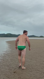Swim Briefs